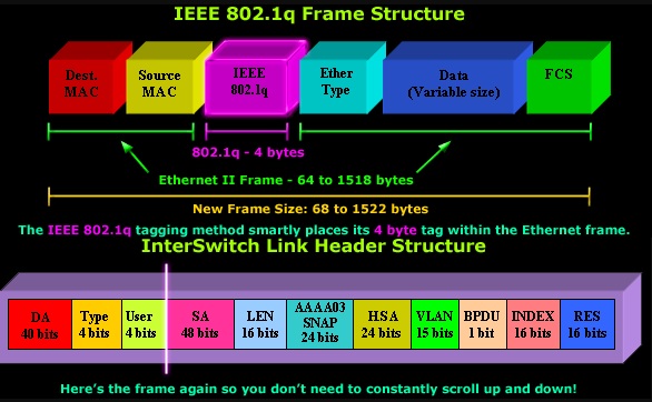 What are the different types of frame tagging protocols | Blog | Adroit Information Technology Academy (AITA)